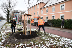 Siemens-Chor Erlangen pflanzt Bäume für kommende Generationen